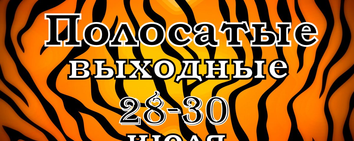Котошапка спицами как вязать Котошапка спицами как вязать